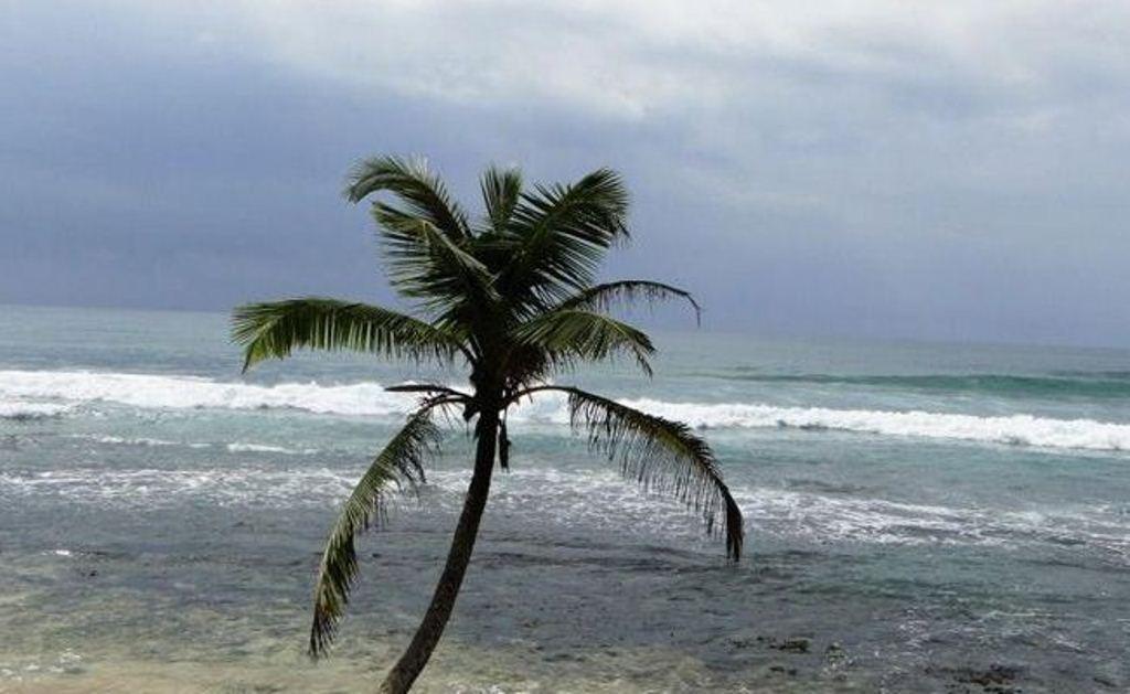 Kixi Beach Unawatuna Exterior foto